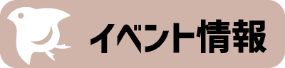 イベント情報